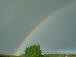 Rainbows are Communication from Heaven