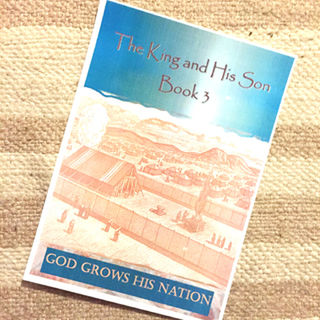 Health Reporter: The King & His Son Book 3 - God Grows His Nation