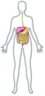 Into the Valley of Digestive Health