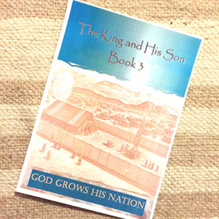 Health Reporter: The King & His Son - Book 3 - GOD GROWS HIS NATION
