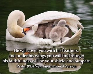 Prayer Solution: The Shelter of God's Name