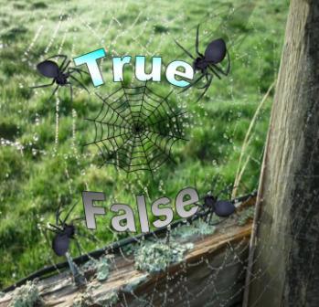 Truth Seeker 9:  Web of Deception