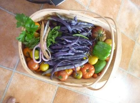 Basket of Beans and Vegetables