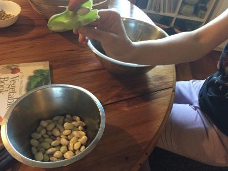 Shelling Beans