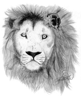 What can Daniel in the Lion's Den teach us Today?