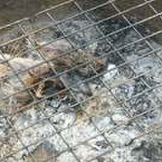 Six Months in Sackcloth and Ashes!