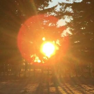 Health Reporter: 8 Top Tips to Sunlight Success #1