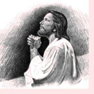 What did Jesus do when He was Busy?