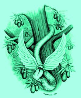 Truth Seeker 13: Satan's Deceitful Plan